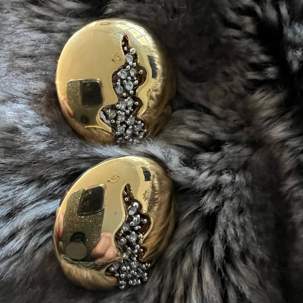 Vintage statement earrings